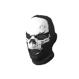 Heavy Assault Skull Mask