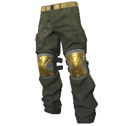 Skin: Gold Padded Pants