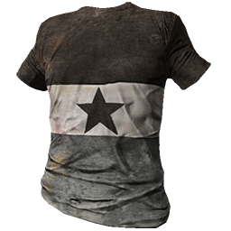 Skin: Gray Striped Shirt with Star