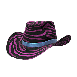 Skin: Pink Zebra Cowboy Hat