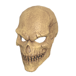 Skin: Wasteland Skull Helmet