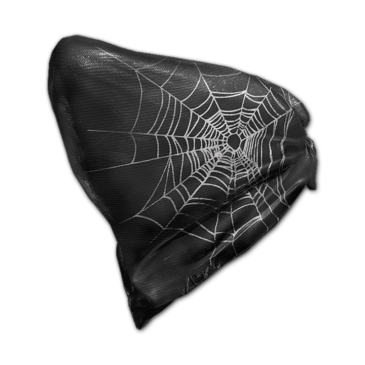 Black Spider Mask