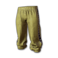 Golden Tracksuit Pants