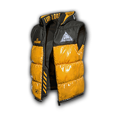 Could this be? PUBG finally adding customizable vests? : r/PUBGConsole