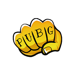 PUBG PUNCH