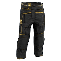 Black Gold Pants