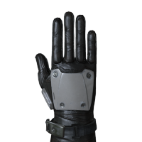 Metallic Gloves